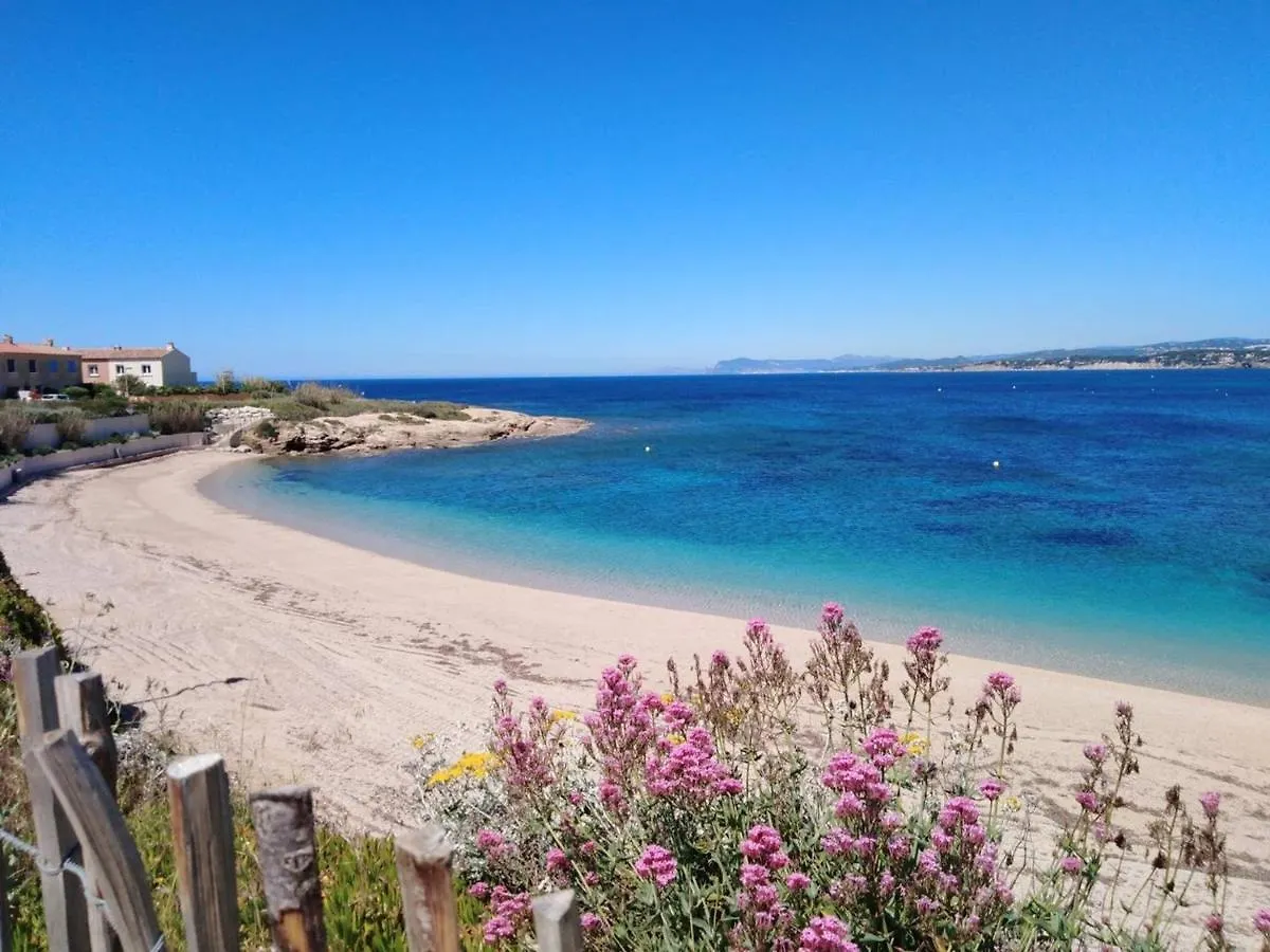 T2 Avec Piscine Et Tennis - Parking - 250 M De La Plage - Fr-1-316-288 Six-Fours-les-Plages Apartmán